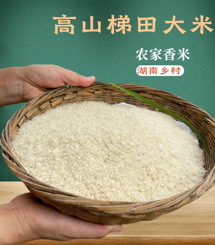湖南农家大米高山梯田种植农村香米籼米新米长粒米猫牙米家用大米