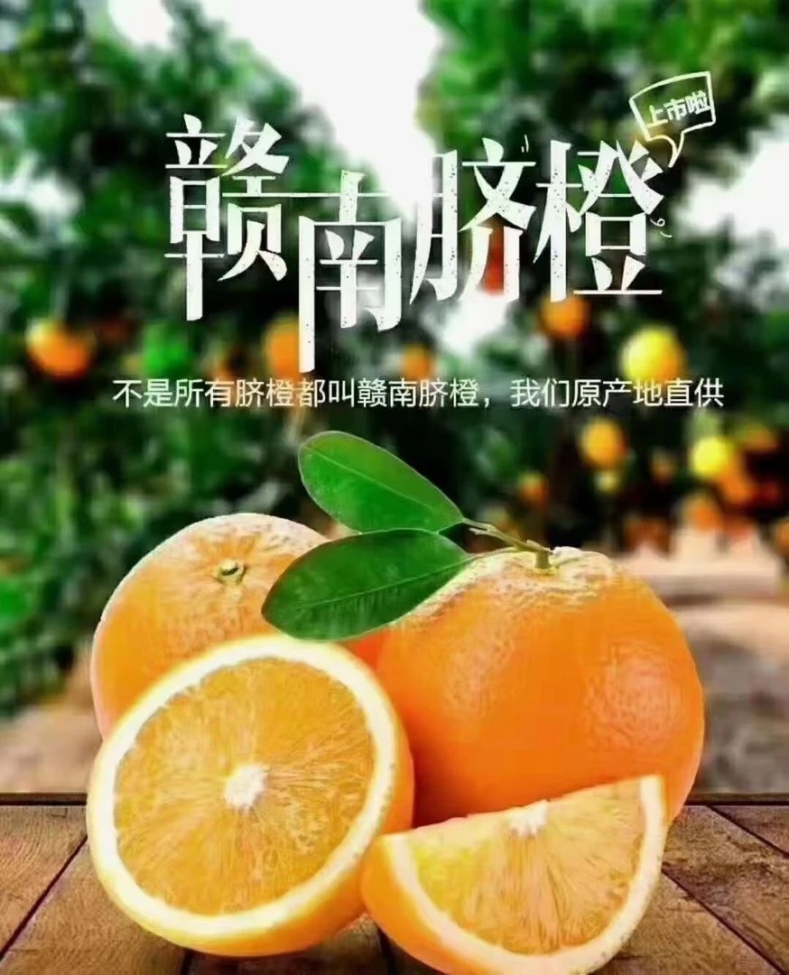新鲜橙子江西赣南脐橙孕妇小孩当季好吃水果原产地直供10斤包邮20