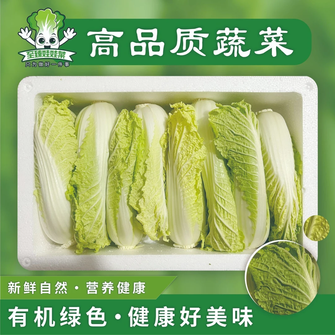 地头现挖新鲜娃娃菜鹿邑特产黄心娃娃菜农家自种绿色蔬菜