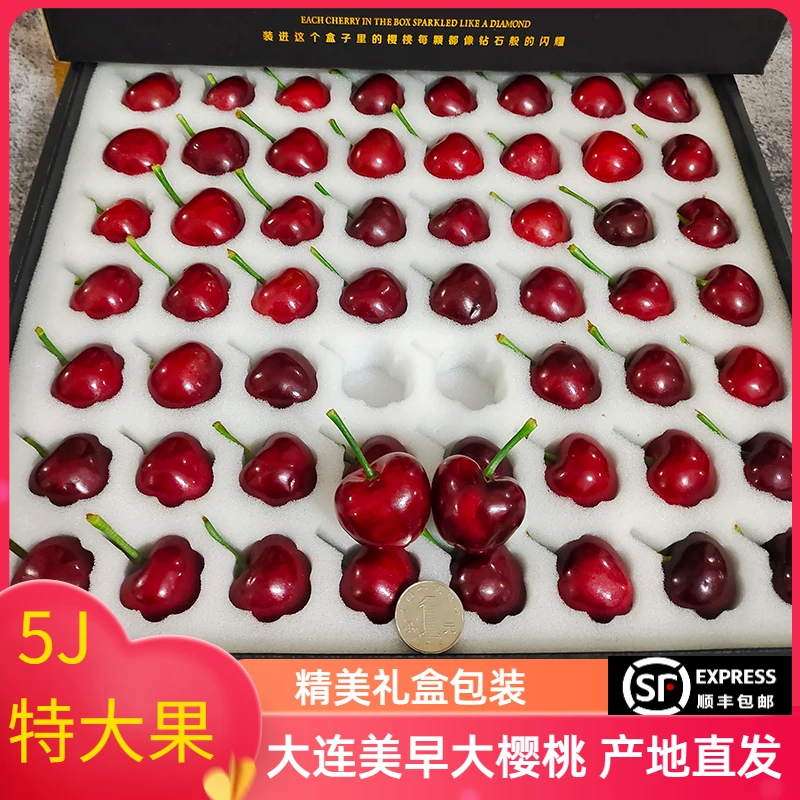 618礼物【黑金礼盒】大连美早樱桃新鲜水果多汁5J56粒大果产地直发