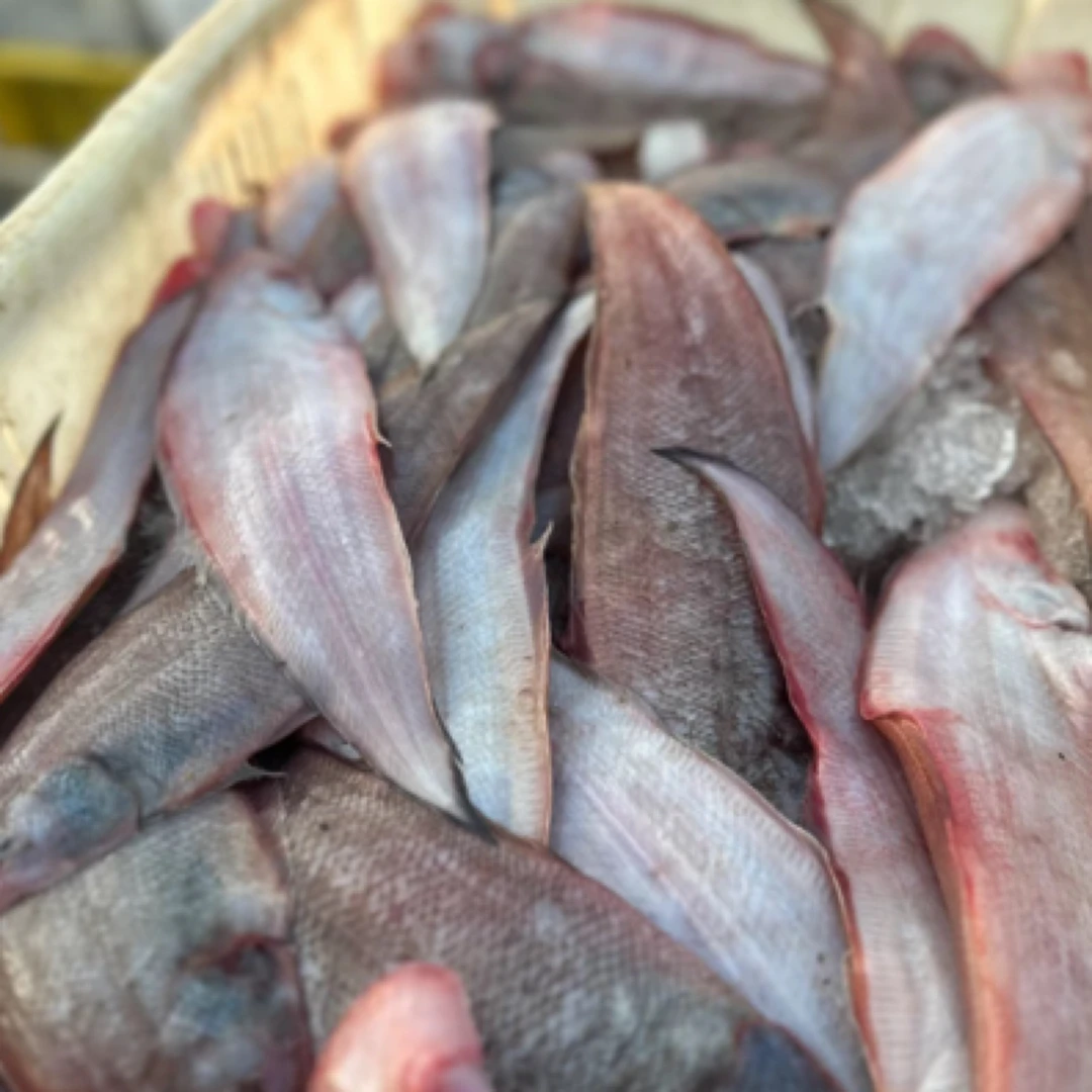 【直播】冰鲜舌头鱼【二斤】