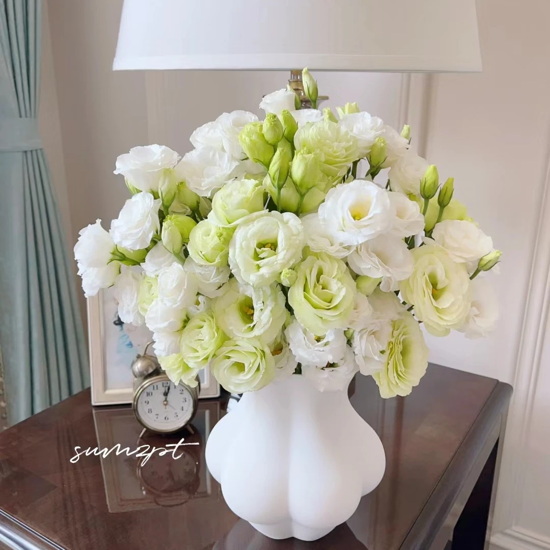 福利款白色绿色洋桔梗自家基地种植现采现发