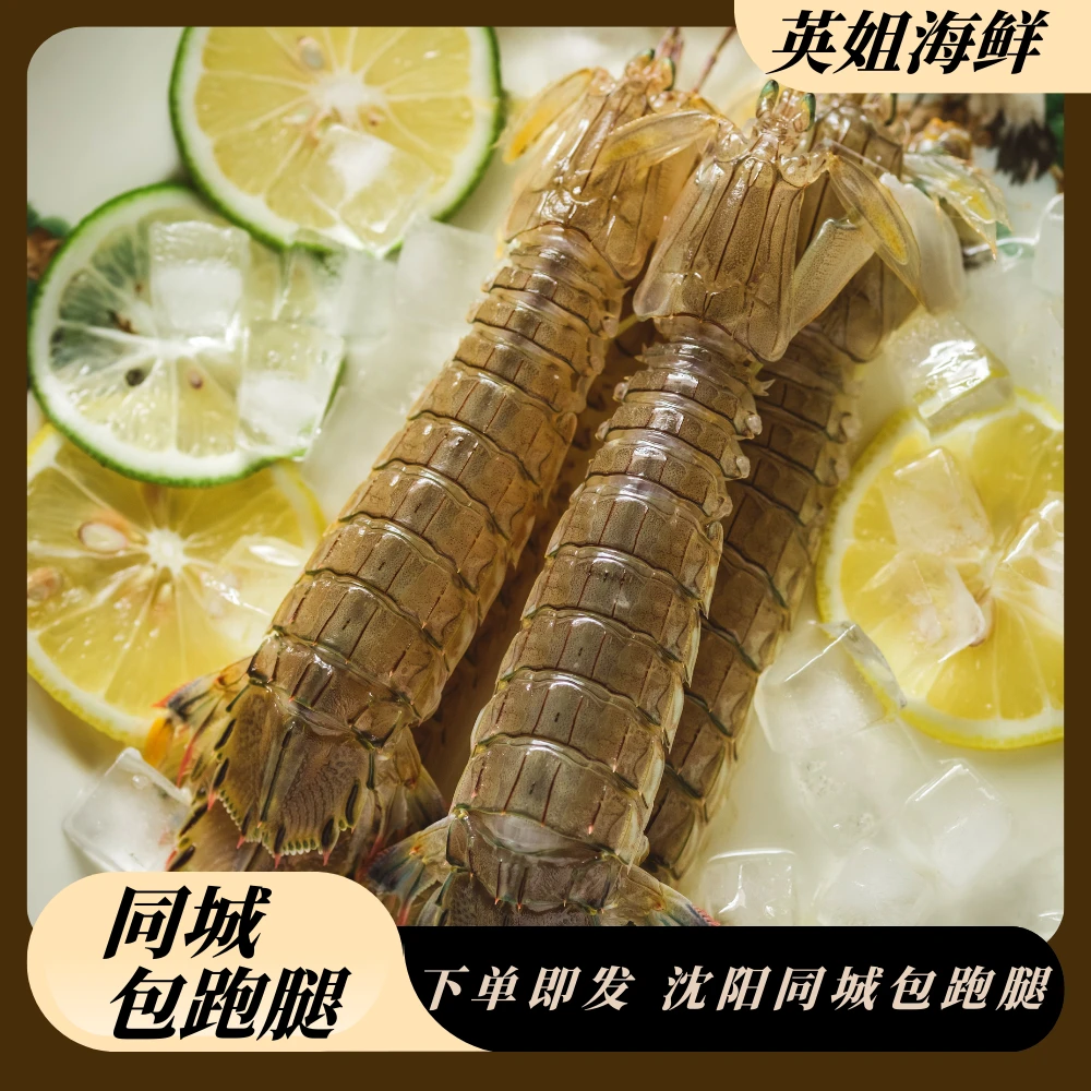 公母随机虾爬仅限沈阳市内五区下单 到家不保活 介意个头勿拍