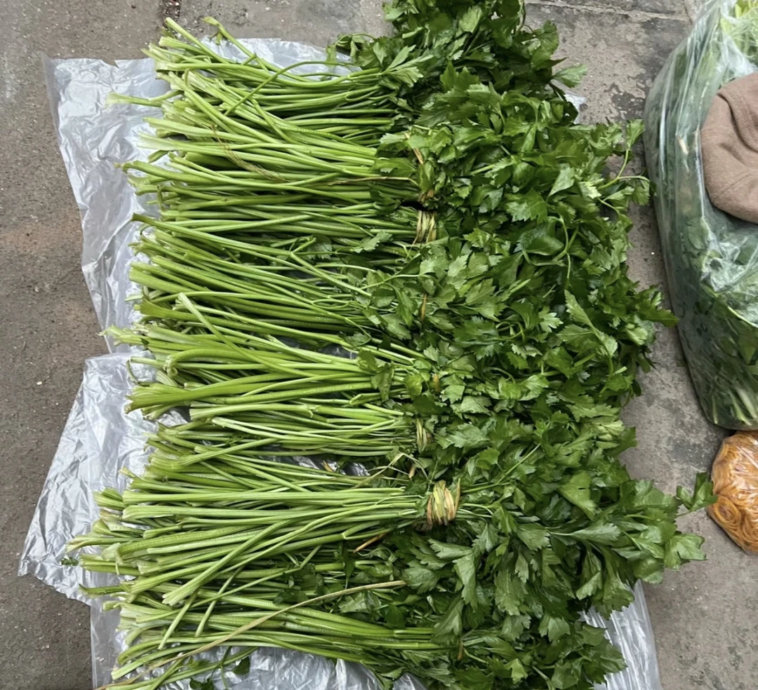 顺丰包邮【现摘小香芹】香芹新鲜蔬菜榨汁食用芹菜当日现货冷链包邮