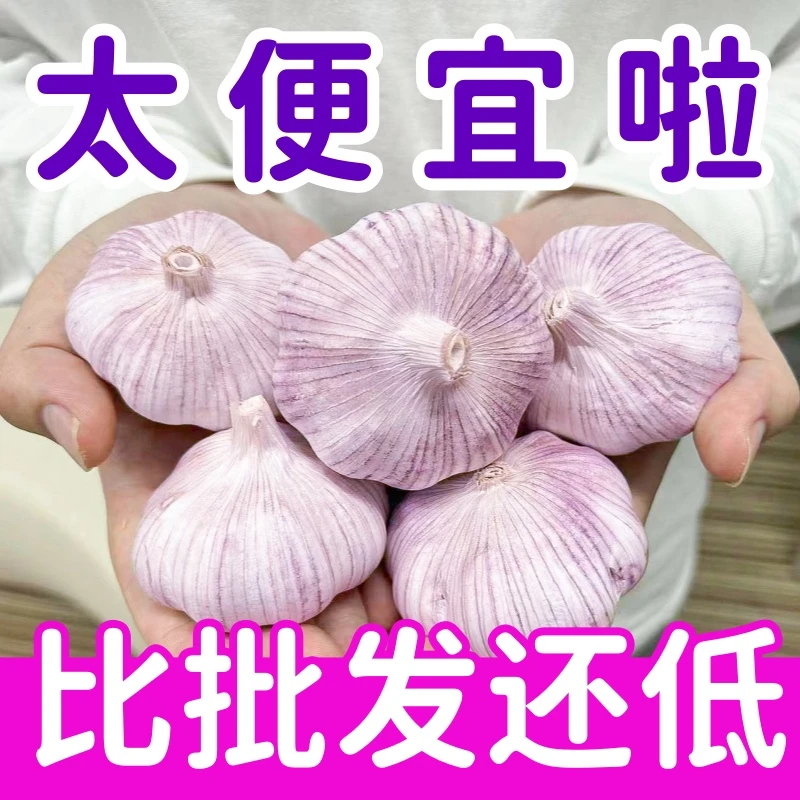 【9个朋友已买】新干蒜紫皮大蒜5斤大蒜头新鲜紫红皮特大精品蒜150g
