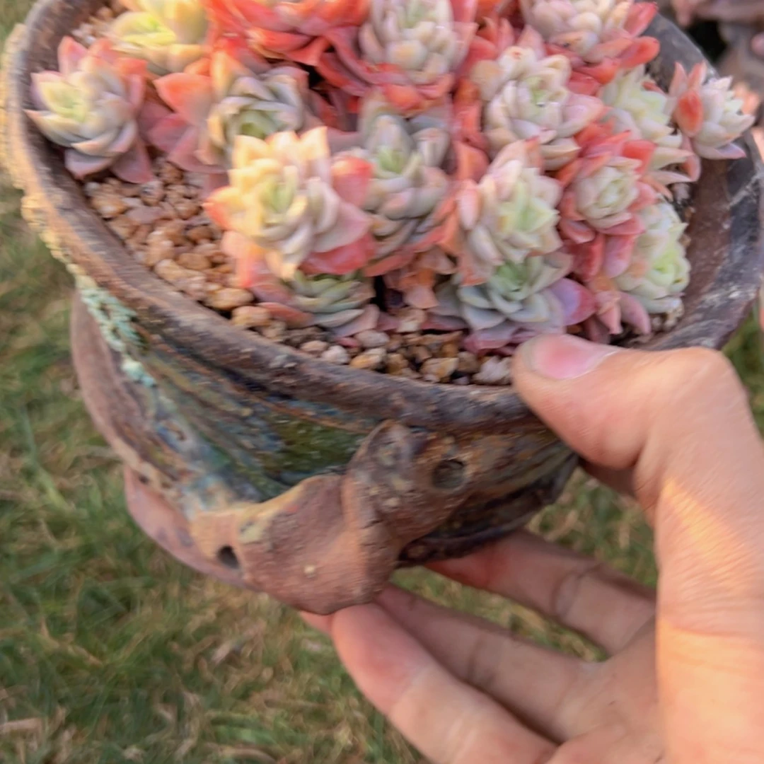 【闪购商品】一物一拍