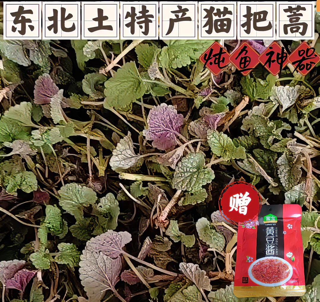 东北原生态山野菜冷冻发货猫把蒿2斤起多规格可选