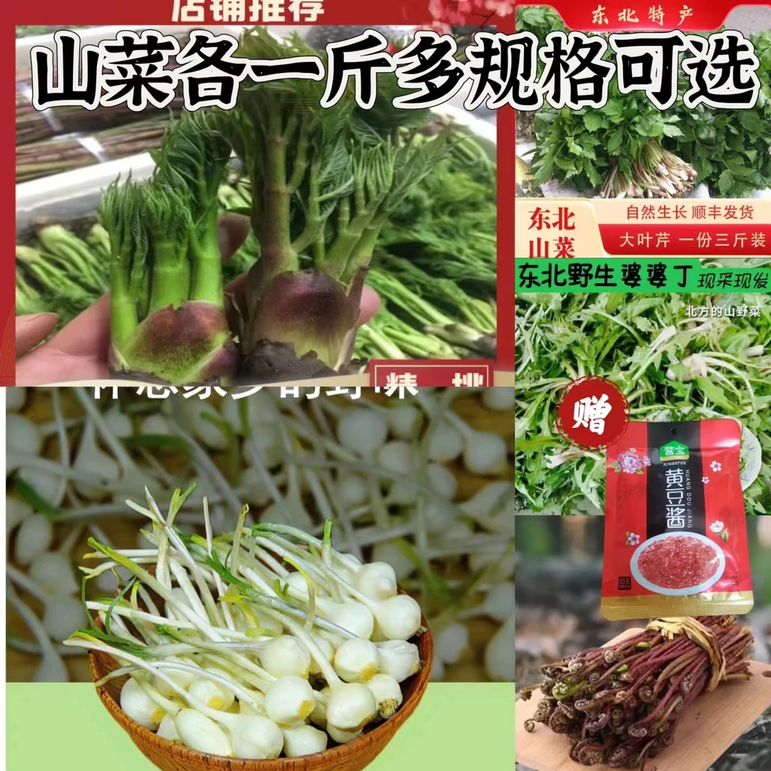 原生态山菜无盐焯水各一斤多规格可选