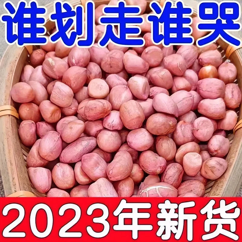 【比批发还便宜】现剥新花生米生特级新鲜大粒花生米白沙花生仁