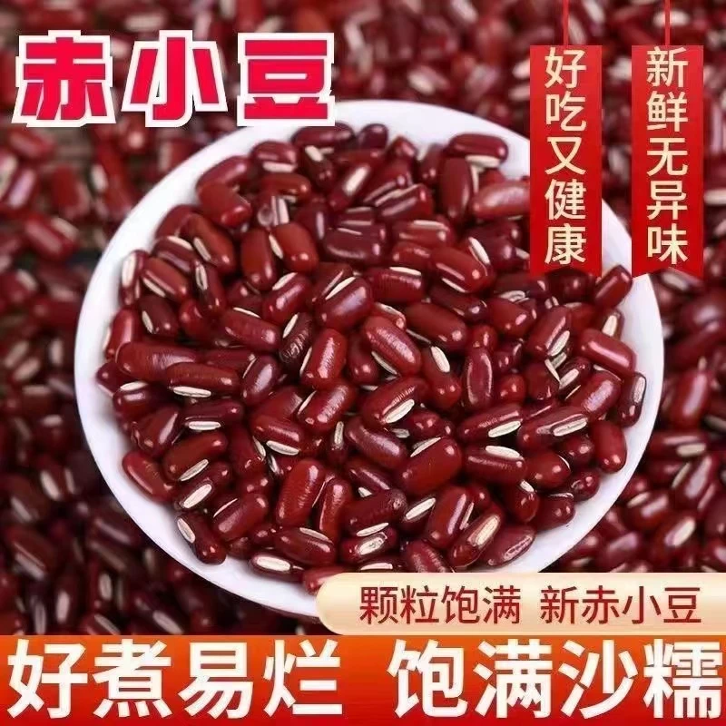 新货赤小豆批发大红豆正品东北长粒红小豆粥豆沙馅五谷杂粮商用