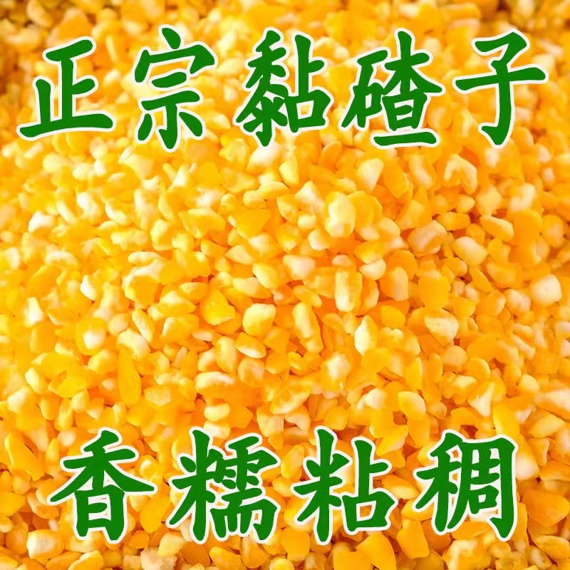 【大降价】新鲜东北黏碴子黄金糯玉米碴子米饭伴侣玉米大碴子批发