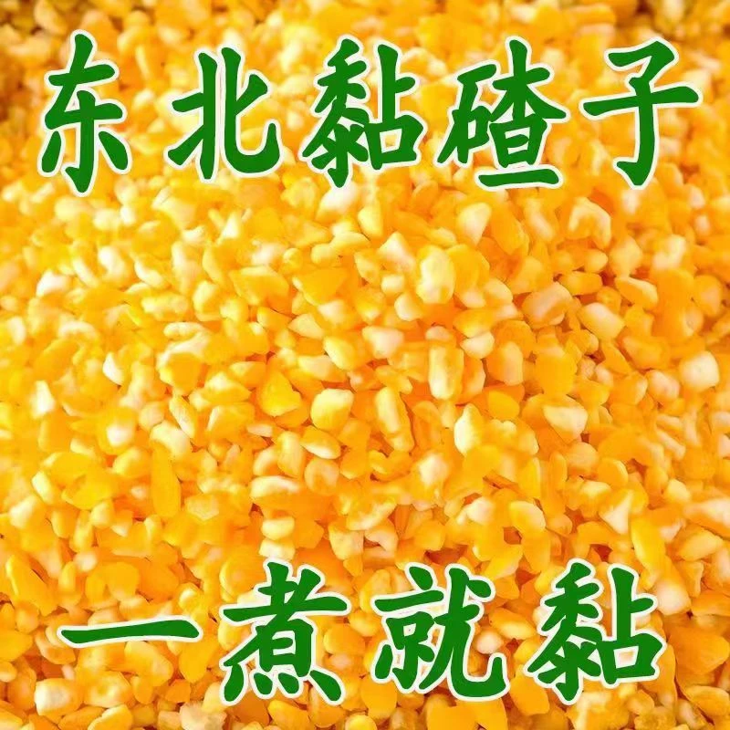 【特价抢5斤】正宗东北粘玉米碴子香糯黏玉米苞米大碴子煮粥50g