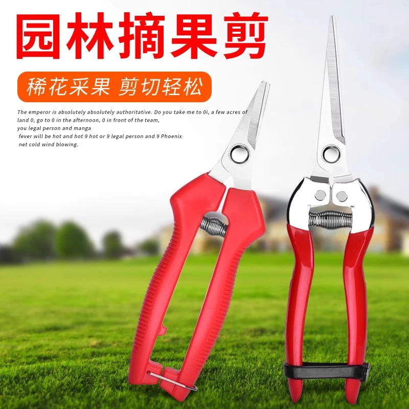 摘果剪刀水果园林专用剪子蔬果花椒柑橘葡萄剪修花枝摘果神器工具