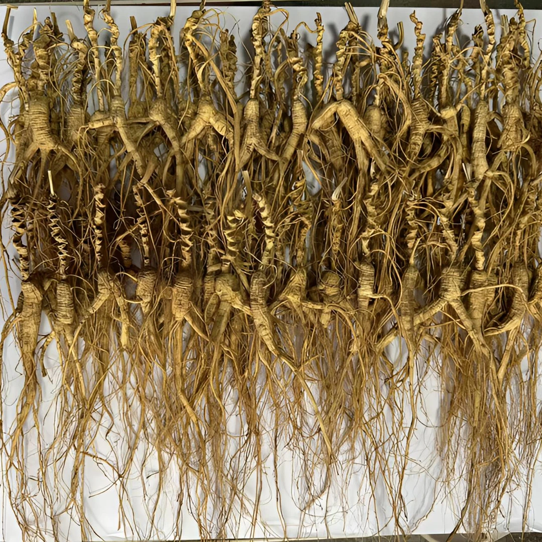 长白山林下参鑫耀参业