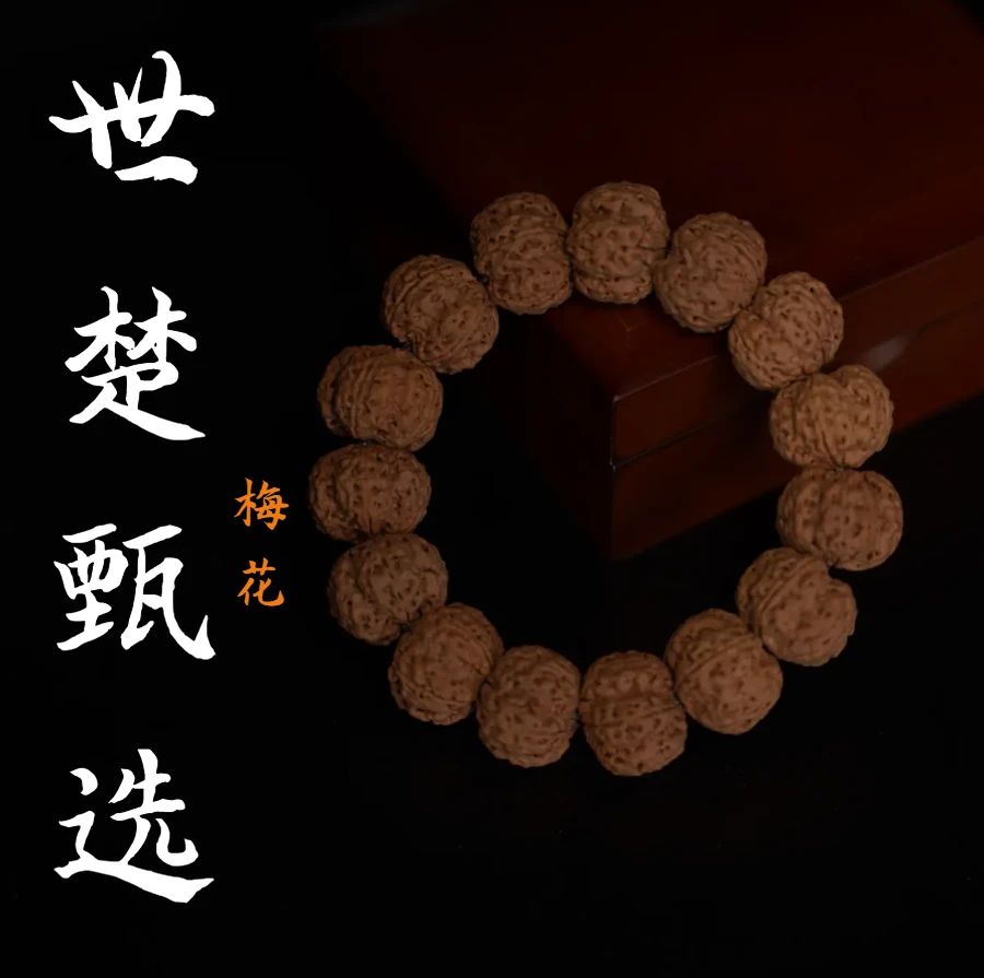金刚菩提梅花瓣线清晰龙脊突出