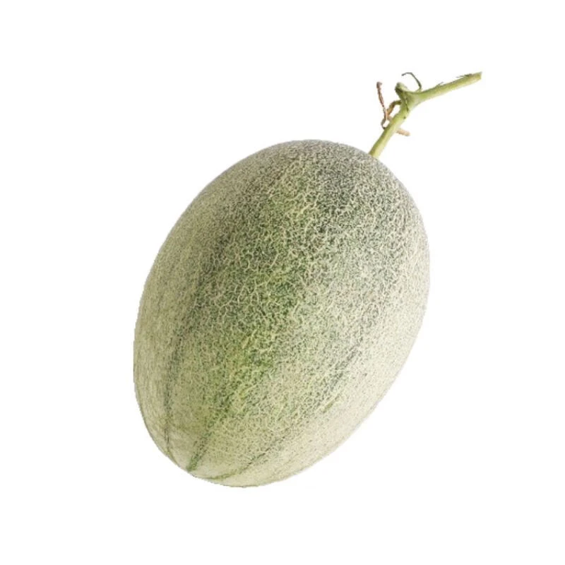 西州蜜瓜（个）xs约1200g/个