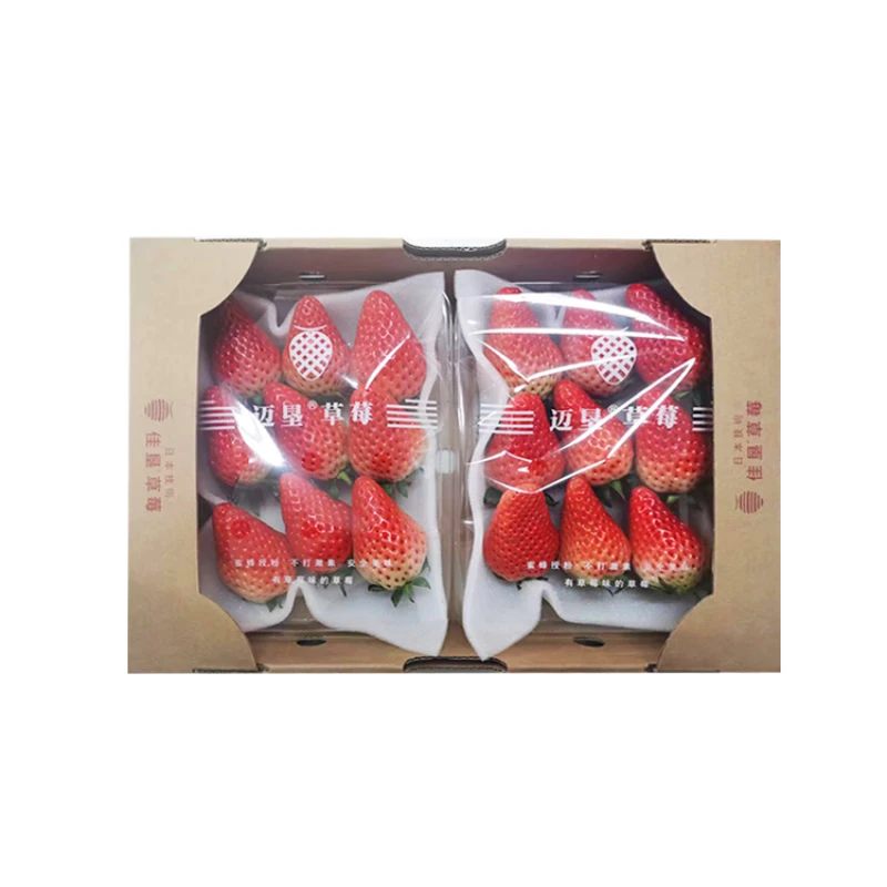 迈垦草莓（二盒装）约600g/箱