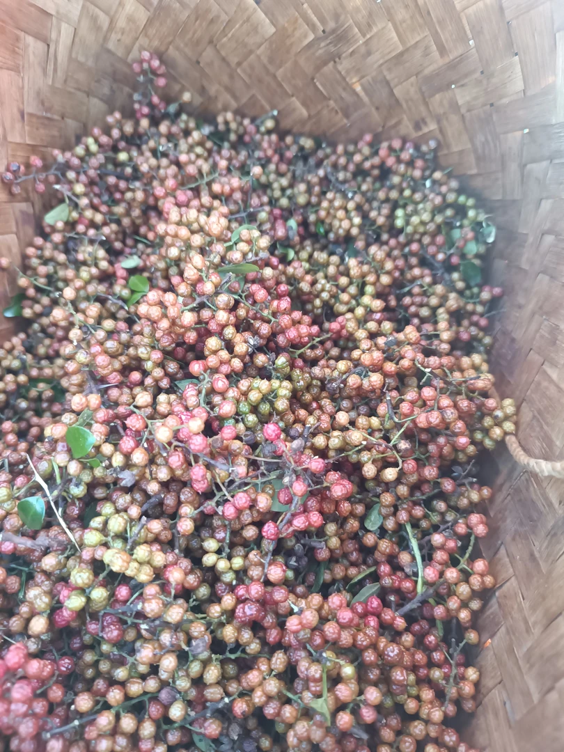 云南农家自种活花椒