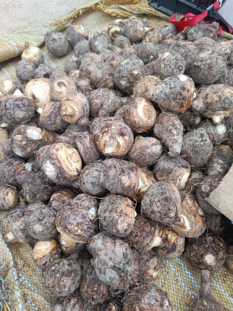 云南农家自种小芋头，建议小的勿拍