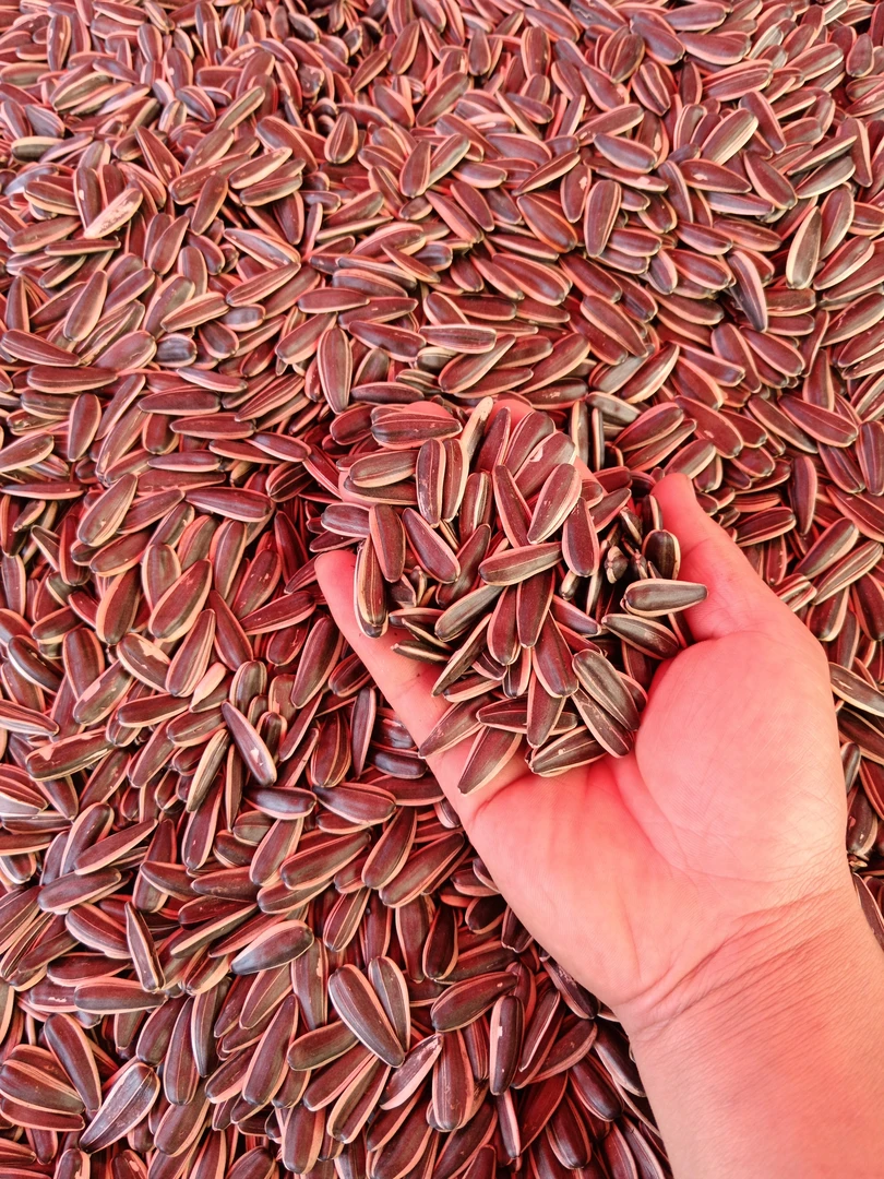 农家生瓜子土瓜子原味