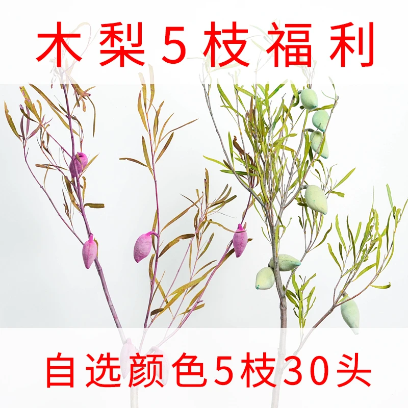 【木梨福利】下单满减进口木梨鲜花干花居家装