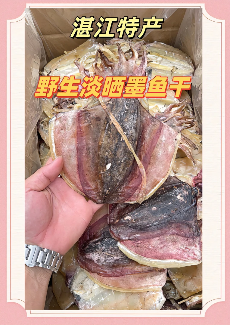 广东湛江野生天然淡晒墨鱼干炖排骨汤