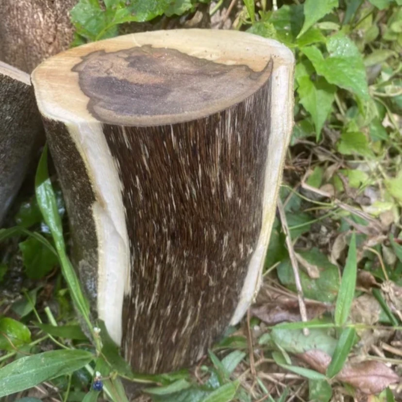 家居摆件 原木摆件 图片仅供参考 13423582280