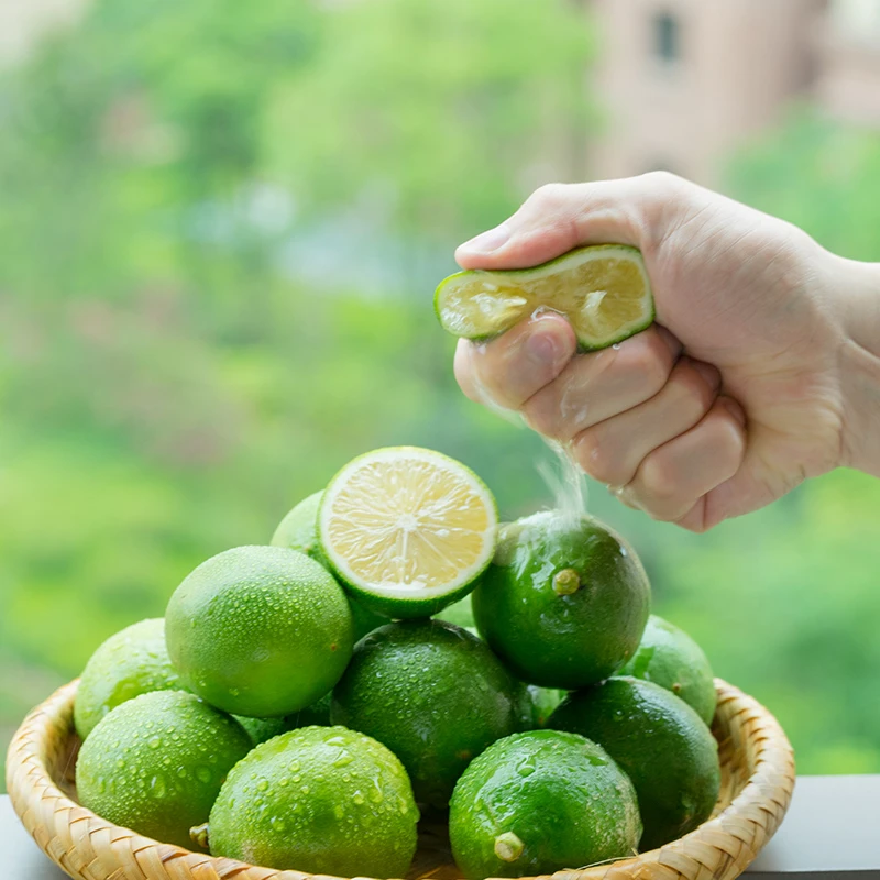 【今日福利】正宗海南青柠檬整箱当季孕妇新鲜水果奶茶店专用