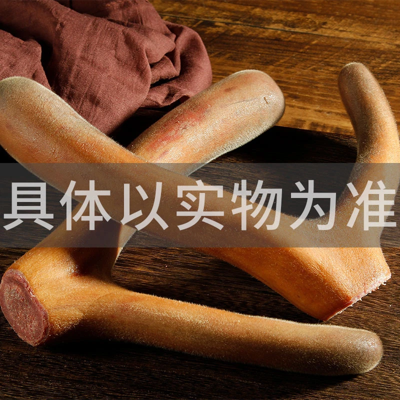 【梅花鹿鲜鹿茸】现场称重双阳鹿乡