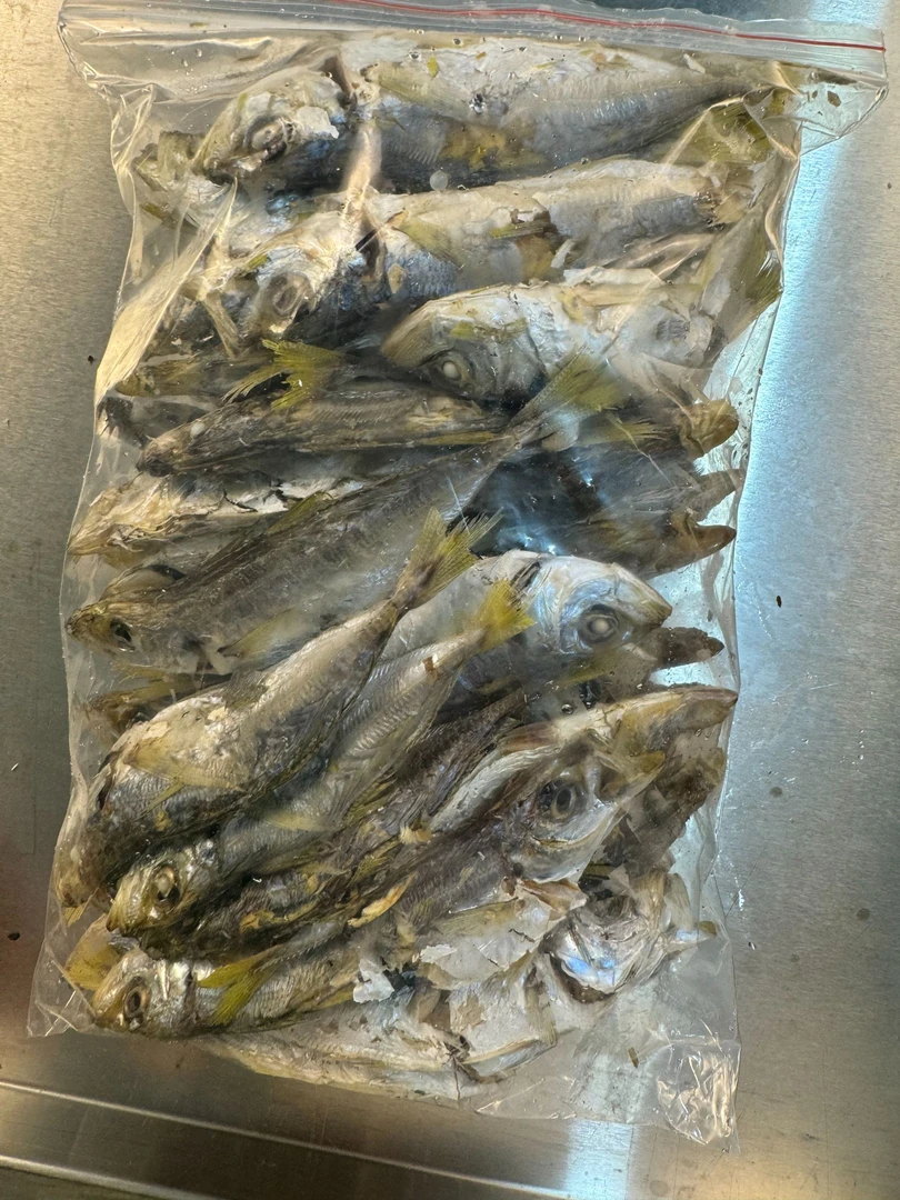 巴浪鱼干海捕鲜货天然日晒