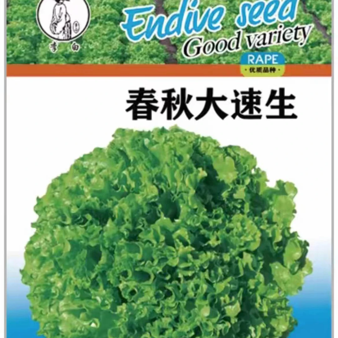 李白春秋大速生菜