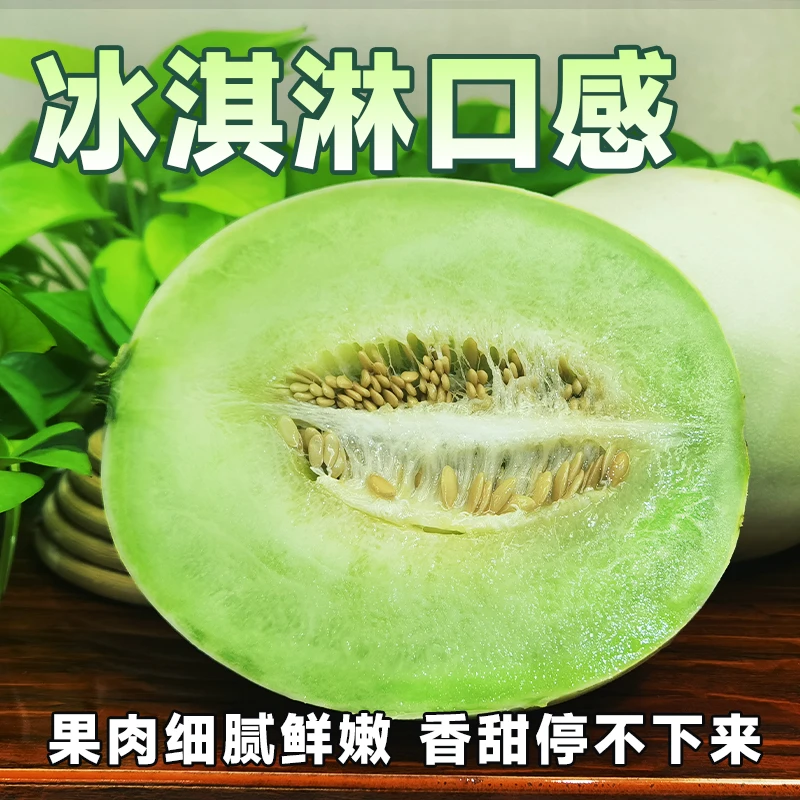 [软糯多汁]海南沙地种植冰淇淋玉菇甜瓜香甜美味新鲜采摘3/5/9斤