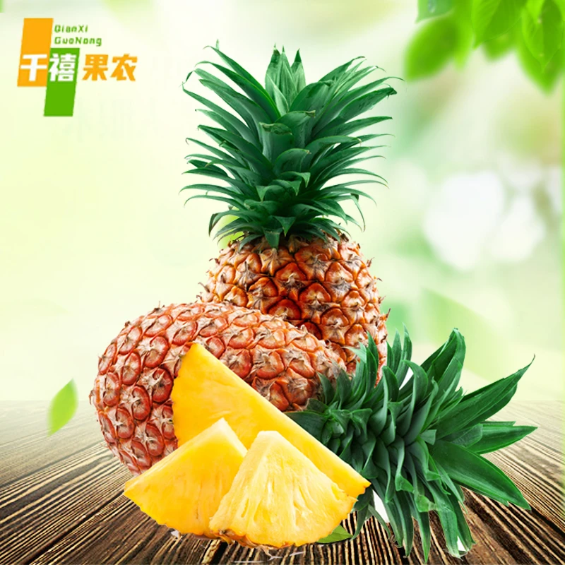 海南金钻凤梨三斤装新鲜热带水果直供清甜手撕无眼大菠萝多汁鲜甜