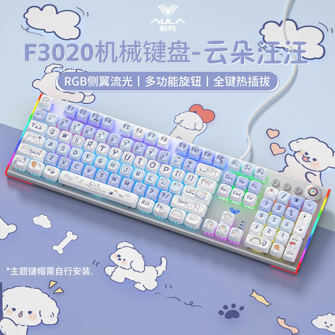 狼蛛F3020侧刻渐变有线游戏键盘笔记本办公全键热插拔轴机械键盘