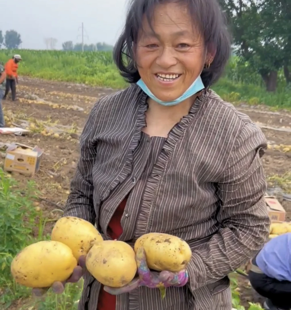 黑龙江土豆885（顺丰发货）