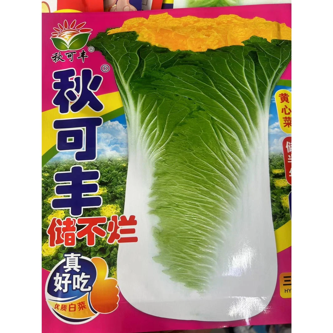 秋可丰储不烂真好吃直颗大白菜种子