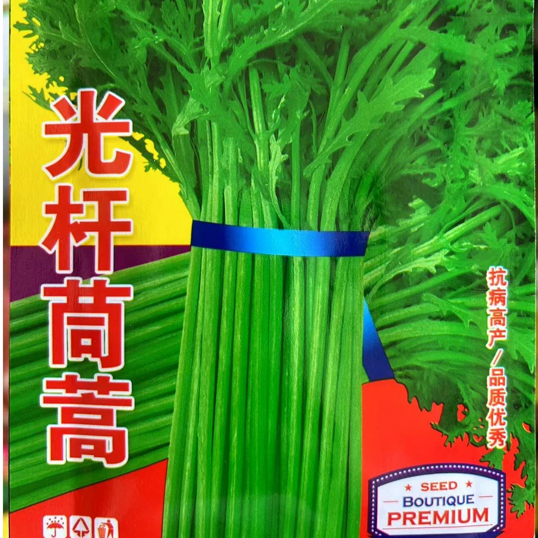 小叶茼蒿种子光杆茼蒿耐寒四季易种