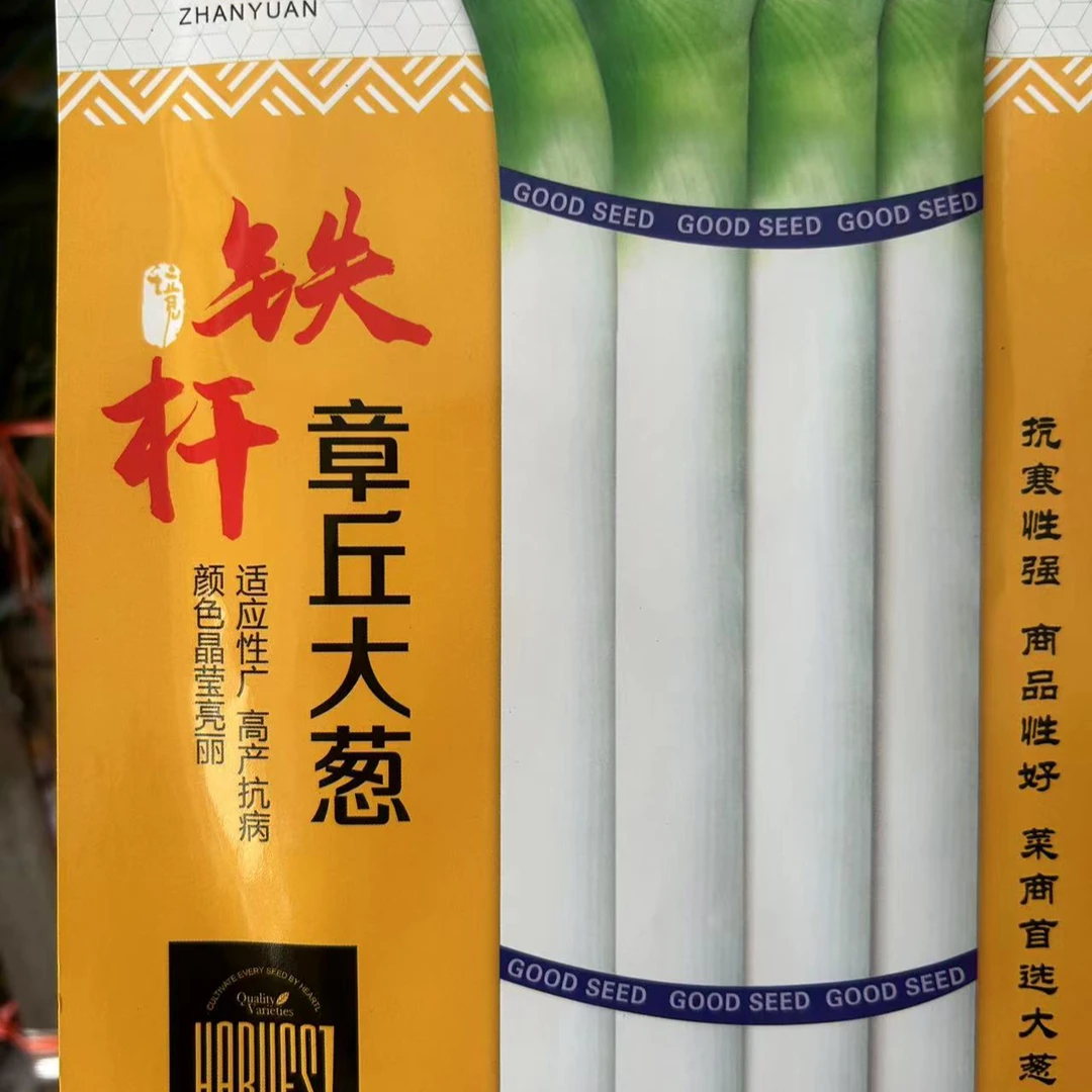 占元铁杆章丘大葱种子