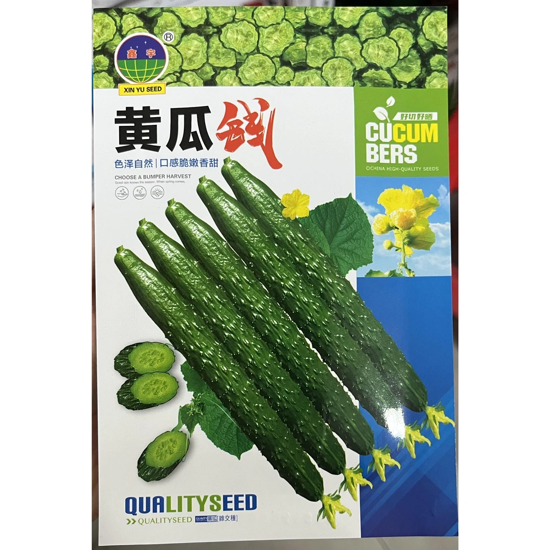 黄瓜钱水黄瓜籽黄瓜籽