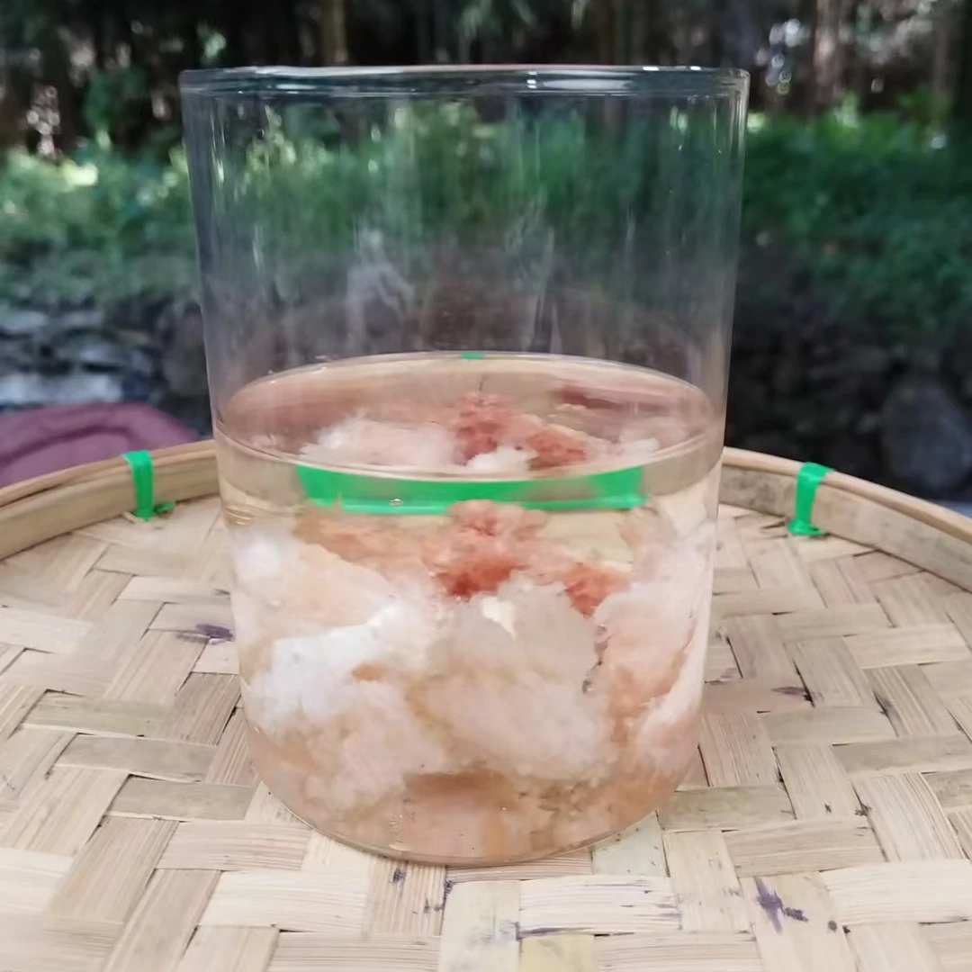 1【天-然-石-太-岁】净含量：50g-500g【阿忠现收现卖】菌