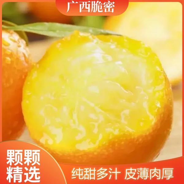 【榴莲公主专属】广西脆蜜金柑新鲜采摘多汁品质纯甜爽口甜蜜