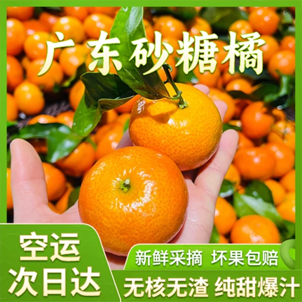 广东砂糖橘5/9/18斤沙糖桔新鲜水果蜜橘柑橘甜桔子