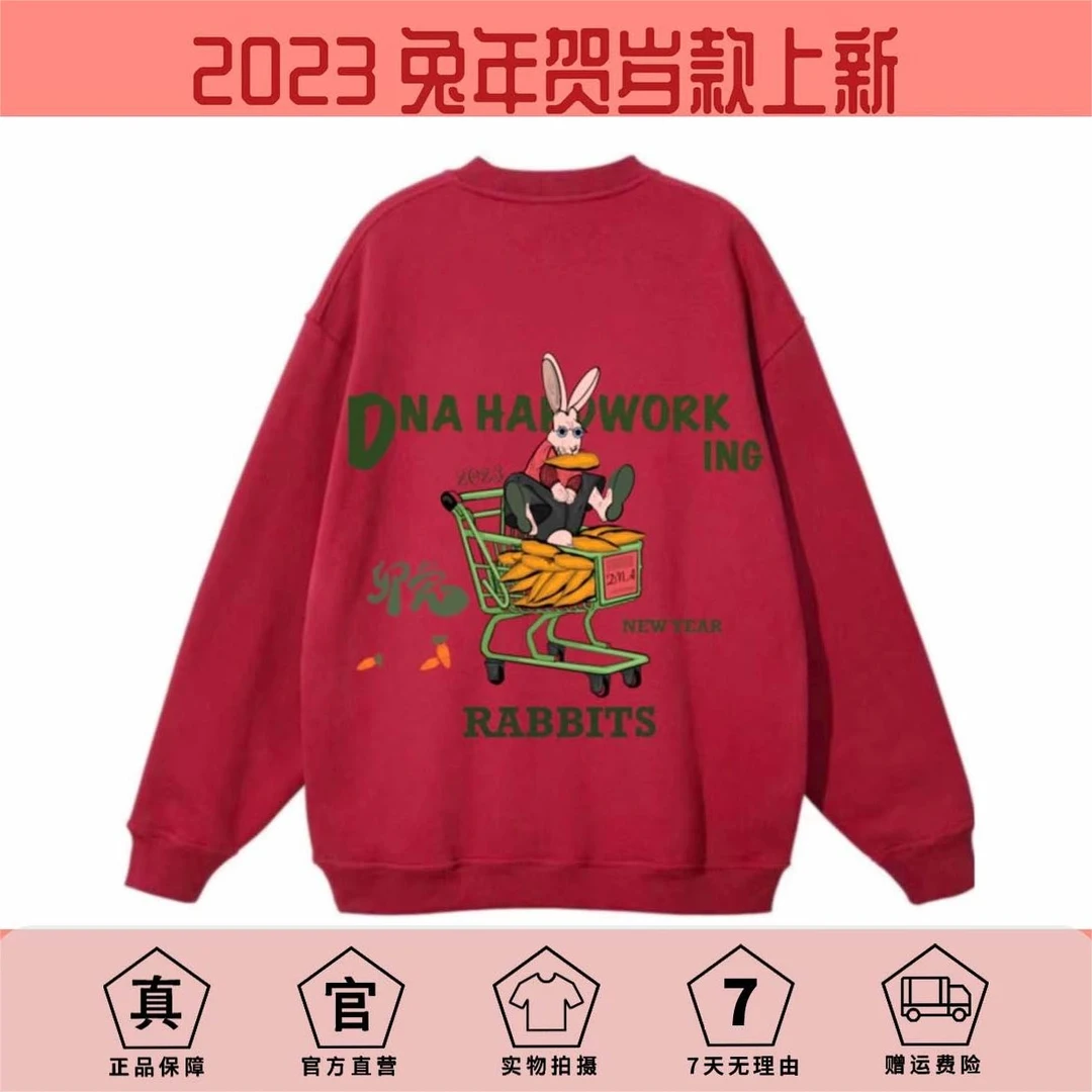 DNAHWK原创贺岁款兔年冬季500G加绒加厚新款健身训练休闲重磅卫衣