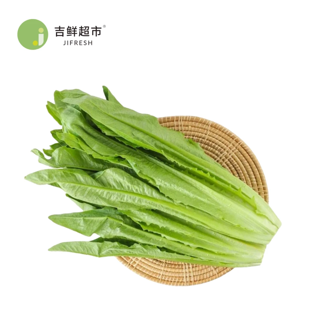 油麦菜