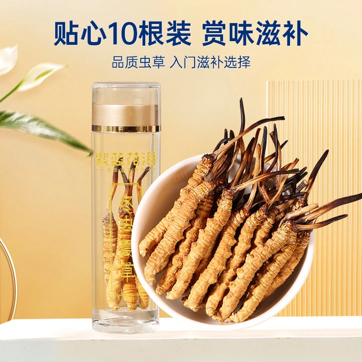 【小胖粉丝专享】足干滋补养生好礼高品质冬虫夏草新货10根装