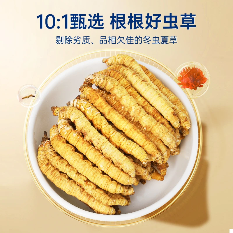 【小妹粉丝专享】高品质冬虫夏草纯肉节断草 10g 足干新草滋补虫草
