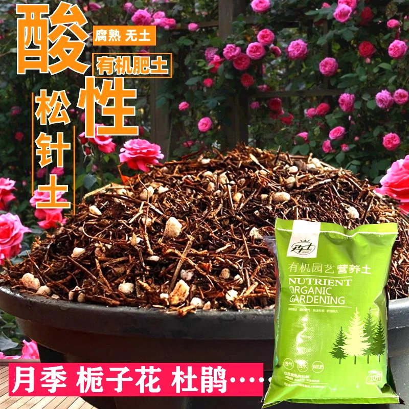 月季杜鹃茶花草莓专通用进口营养土弱酸性天然有机优质松针均衡土