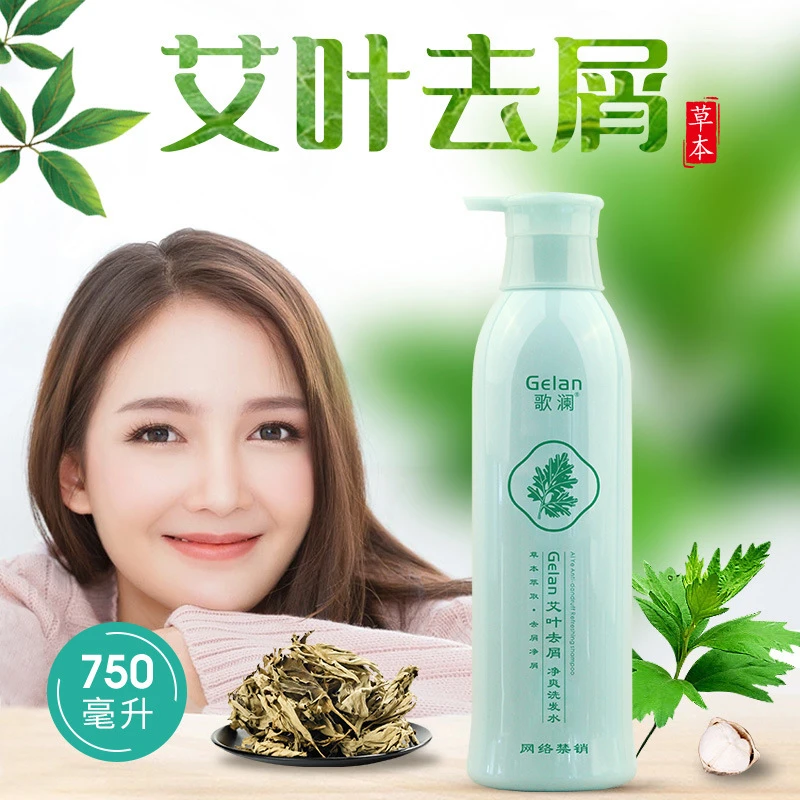 歌澜艾叶去屑净爽洗发水控油蓬松丝滑水润草本植物配方护发