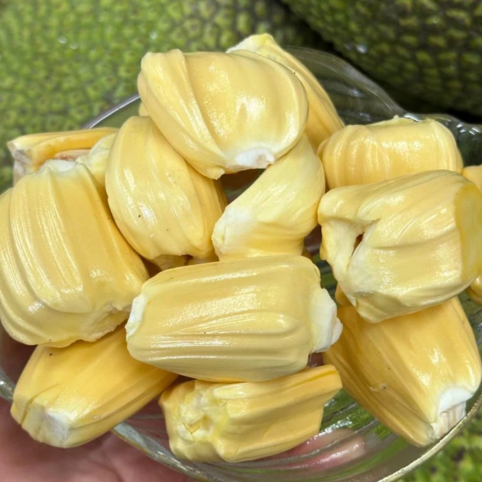 菠萝蜜(盒装)