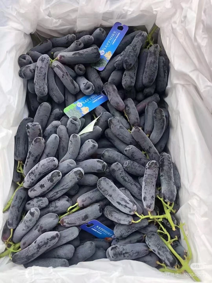 金手指黑提